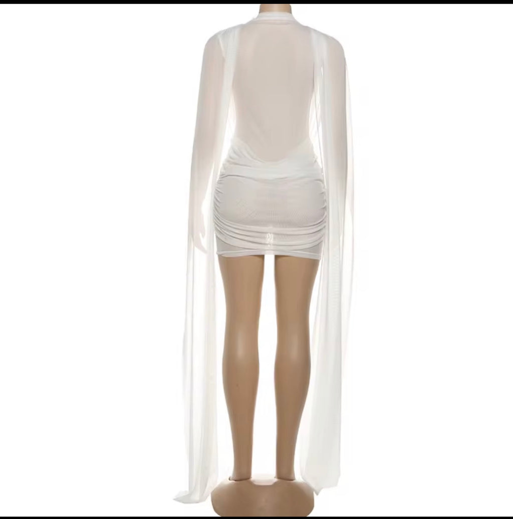 Sexy stretch mesh dress